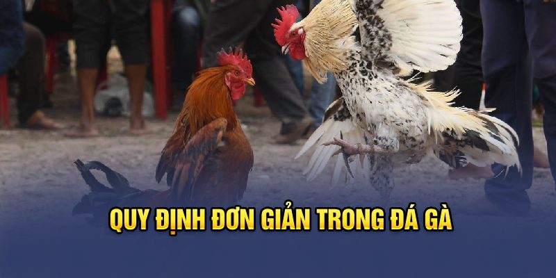 Đá Gà – Trò Cá Cược Kinh Điển Cùng Những Chiến Kê Hàng Đầu